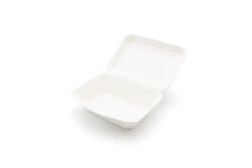 bagasse box 7x5